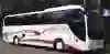 bus IJsselse tours